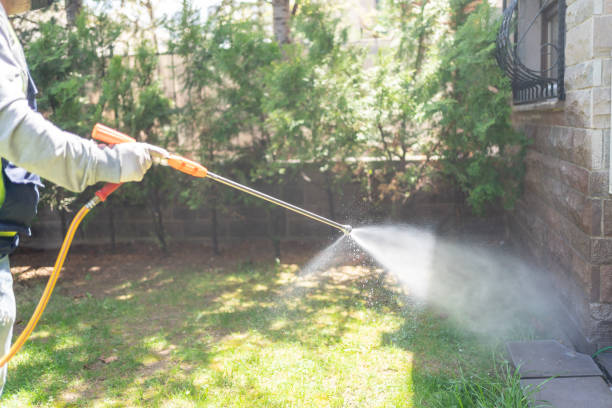 Best Mosquito Control Services  in North Catasauqua, PA